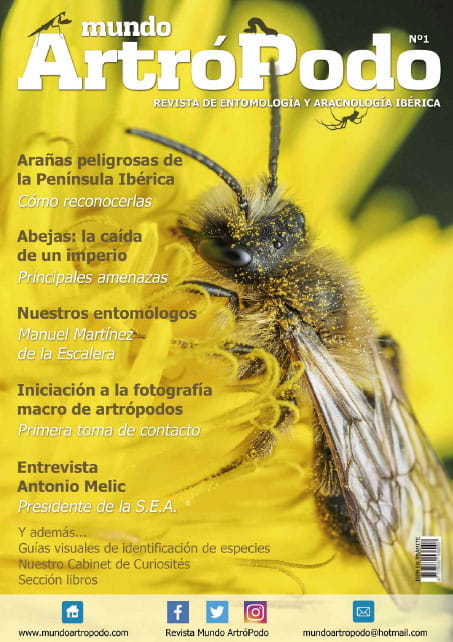Revista 1