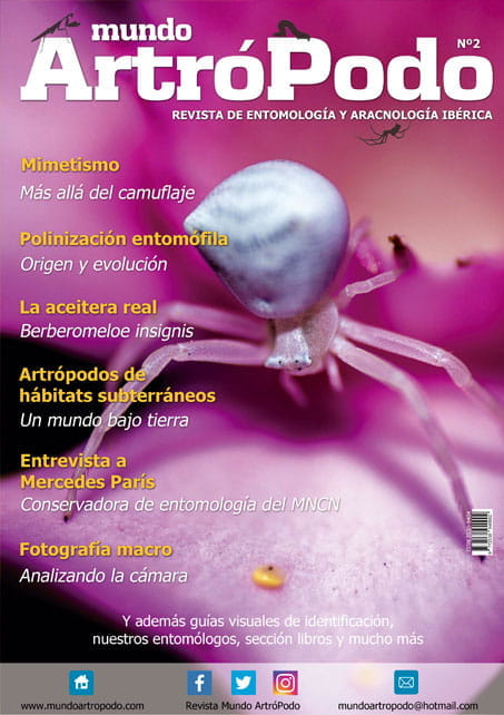 Revista 2