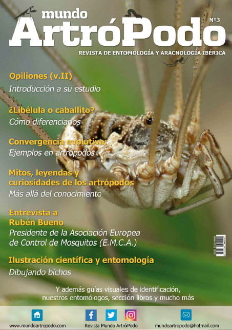 Revista 3