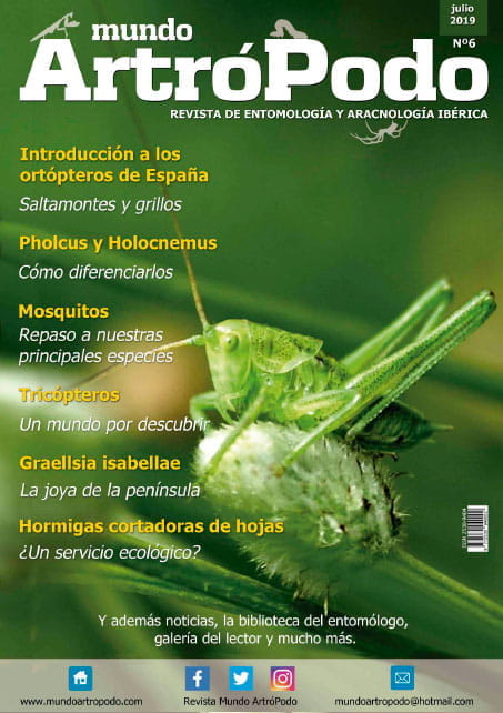 Revista 6