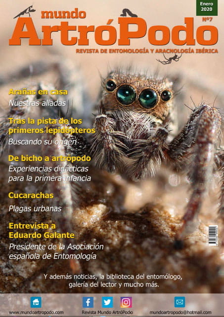 Revista 7