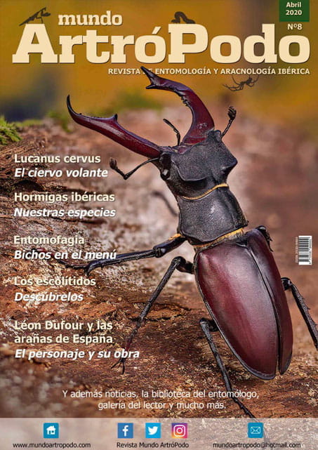 Revista 8