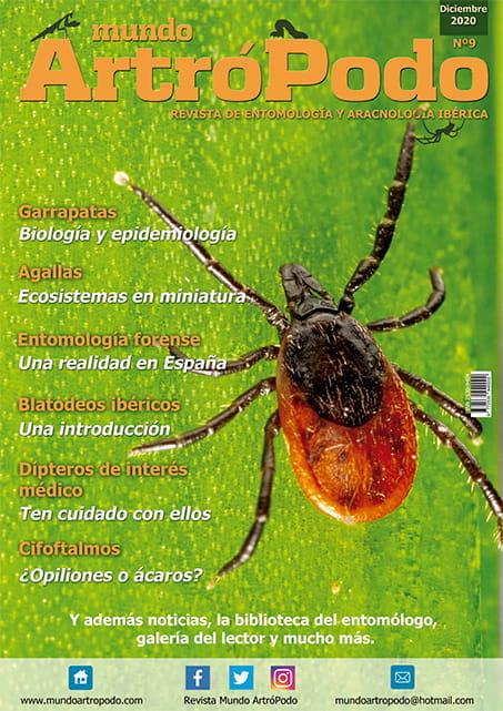 Revista 9