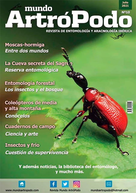 Revista 10