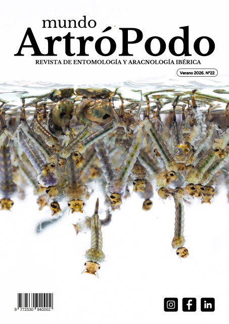 Revista 22